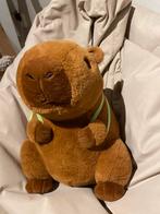 Schattige Capibara Knuffel, Ophalen of Verzenden, Zo goed als nieuw, Overige typen