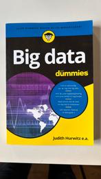 Fern Halper - Big data voor Dummies, Ophalen of Verzenden, Fern Halper; Alan Nugent; Marcia Kaufman; Judith Hurwitz, Management