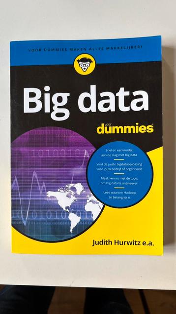 Fern Halper - Big data voor Dummies beschikbaar voor biedingen