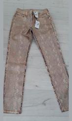 Zoso broek model 244 Demi Gold Maat S/36 Nieuw met Elasthan, Overige kleuren, Nieuw, Ophalen of Verzenden, Maat 36 (S)