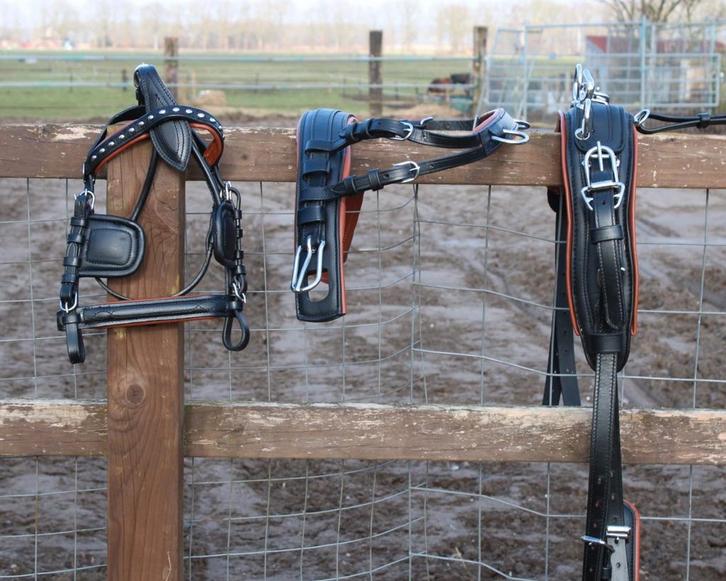 Te koop zwart met bruin onderlegd mini shetlander mentuig, Dieren en Toebehoren, Paarden en Pony's | Hoofdstellen en Tuigage, Nieuw