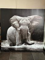 Canvasschilderij olifant 100x100 cm, Huis en Inrichting, Woonaccessoires | Schilderijen, Tekeningen en Foto's, Ophalen, Zo goed als nieuw