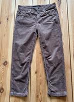 Drykorn broek - Bruin - Maat 29 / 34 (Small / Medium), Kleding | Dames, Maat 38/40 (M), Drykorn, Bruin, Ophalen of Verzenden