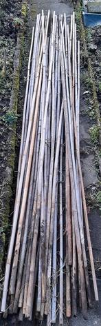 Grote bamboestokken - ongeveer 35 stuks, Ophalen of Verzenden, Gebruikt, 250 cm of meer, Palen