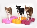 NIEUW: Balans bone K9 sports, fitbone, botje, agility, hond, Ophalen of Verzenden, Nieuw, Behendigheidspeelgoed