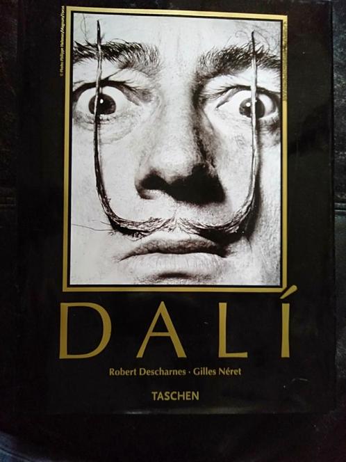 Salvador Dali Geschilderde werk Descharnes & Neret 1904-1989, Boeken, Kunst en Cultuur | Beeldend, Zo goed als nieuw, Schilder- en Tekenkunst