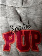 Honden truitje small, Dieren en Toebehoren, Ophalen of Verzenden