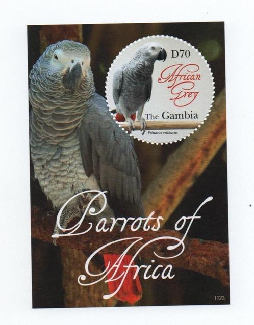 Papegaai, Grijze roodstaart - Gambia - Postfris, Postzegels en Munten, Postzegels | Thematische zegels, Postfris, Dier of Natuur