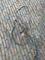 Prachtig mexicaans hoofdstel full, Ophalen of Verzenden, Gebruikt, Springen