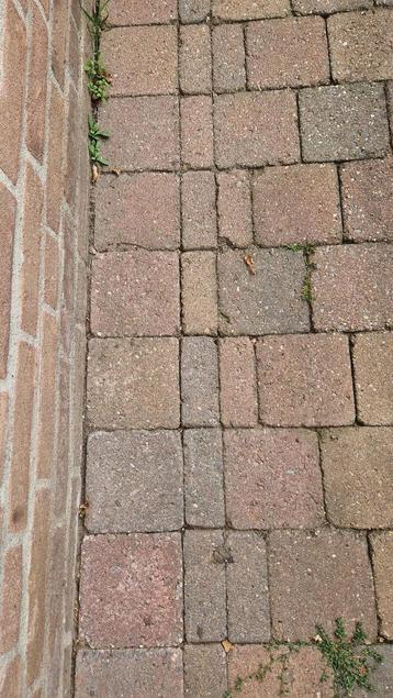 +/- 30m2 koppelstones / cobblestones mix 15x15cn beschikbaar voor biedingen