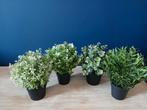4x Nieuwe IKEA Kunstplanten, Huis en Inrichting, Woonaccessoires | Kunstplanten en Kunstbloemen, Ophalen of Verzenden, Nieuw, Binnen