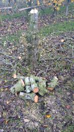 Open haard kachelhout, Tuin en Terras, Haardhout, Minder dan 3 m³, Ophalen of Verzenden