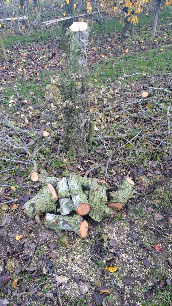 Open haard kachelhout, Tuin en Terras, Haardhout, Minder dan 3 m³, Ophalen of Verzenden