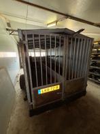 Biggen wagen [662], Dieren en Toebehoren, Boekhorst Trading, Info@boekhorsttrading.com, Singel 16, Horssen