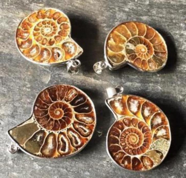 Ammoniet hanger, Sieraden, Tassen en Uiterlijk, Kettinghangers, Nieuw, Zilver, Bruin, Overige voorstellingen, Ophalen of Verzenden