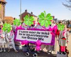 Carnaval loopgroep levende standbeelden, Carnaval, Overige maten, Ophalen of Verzenden, Kleding