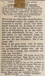 Cornelis Petrus Kester Honselersdijk 1924, Ophalen of Verzenden