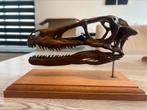 Velociraptor replica schedel / dinosaurus, Verzamelen, Mineralen en Fossielen, Ophalen of Verzenden, Fossiel