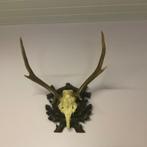 Gewei, Ophalen, Zo goed als nieuw, Hert, Gewei of Kop