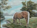 Haflinger, Antiek en Kunst, Kunst | Schilderijen | Klassiek, Ophalen of Verzenden