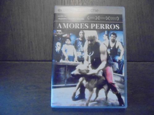 Amores perros, Cd's en Dvd's, Dvd's | Filmhuis, Zo goed als nieuw, Spanje, Vanaf 16 jaar, Ophalen of Verzenden