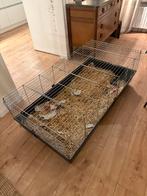 Binnenhok, Ophalen of Verzenden, Gebruikt, Kooi, Minder dan 60 cm