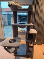 Petrebels krabpaal te koop., Ophalen, Krabpaal