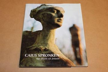 Caius Spronken : van droom tot fontein / concept en tekst Jo beschikbaar voor biedingen