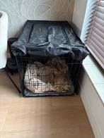 Honden bench, Ophalen of Verzenden, Zo goed als nieuw