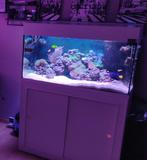 Leeg zeeaquarium met sump en onderkast 100x50x60, Dieren en Toebehoren, Ophalen, Gebruikt, Leeg aquarium