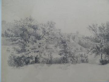Potloodtekening landschap met bomen beekje Anna Willi 1891 beschikbaar voor biedingen