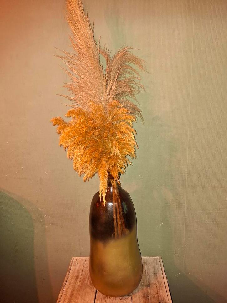 Mooie vaas met pluimen, Huis en Inrichting, Woonaccessoires | Kunstplanten en Kunstbloemen, Gebruikt, Binnen, Buiten, Ophalen of Verzenden