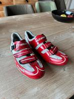 Racefietsschoenen maat 44 carbon zool, Fietsen en Brommers, Fietsaccessoires | Fietskleding, Ophalen, Chain, Gebruikt, Heren