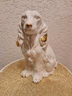 Vintage Cocker Spaniel Beeld - Keramiek, Verzamelen, Beelden en Beeldjes, Ophalen of Verzenden, Gebruikt, Dier