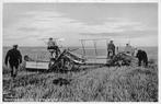 (378-280-029) Wieringermeer Graanmaaien, Verzamelen, Ansichtkaarten | Nederland, Verzenden, Voor 1920, Noord-Holland