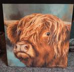 Mooie canvas Schotse Hooglander 40x40 cm, Ophalen