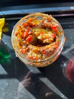 Chutney mango Surinaams, Ophalen