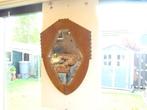 Wand-spiegel  ( Ard-Deco / Amsterdamse school, Ophalen of Verzenden, Rechthoekig, Minder dan 100 cm