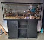 Gerbilarium / knaagdier 120x40x50 terrarium met kast, 110 cm of meer, Hamster, Hok, Ophalen
