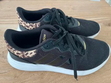 Gymschoenen adidas maat 40 panter beschikbaar voor biedingen