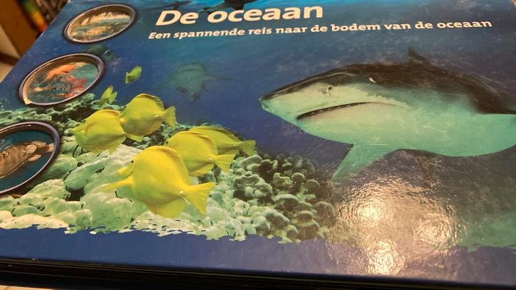 Pop-Up - De oceaan 5 panorama’s    ANWB, Boeken, Kinderboeken | Jeugd | 10 tot 12 jaar, Zo goed als nieuw, Ophalen of Verzenden