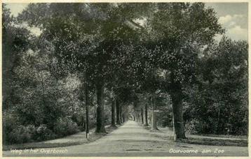 (377-489-045) Oostvoorne Weg in het Overbosch beschikbaar voor biedingen
