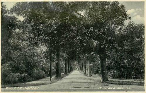 (377-489-045) Oostvoorne Weg in het Overbosch, Verzamelen, Ansichtkaarten | Nederland, Zuid-Holland, Verzenden