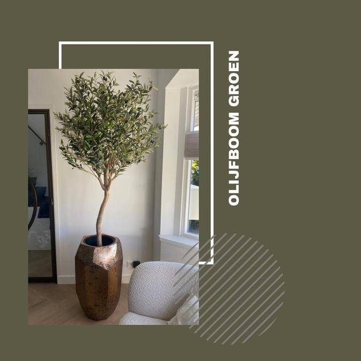 Olijfboom Groen H180, Huis en Inrichting, Woonaccessoires | Kunstplanten en Kunstbloemen, Nieuw, Binnen, Ophalen of Verzenden