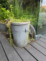 2x Oude zinken emmer met bloempot., Tuin en Terras, Bloembakken en Plantenbakken, Ophalen, Zo goed als nieuw