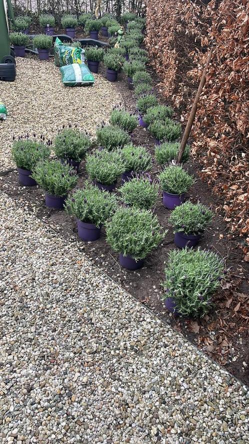 Tuinhulp, Tuin en Terras, Bloembakken en Plantenbakken, Ophalen of Verzenden