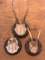 Oude geweitjes 3 stuks, Ophalen of Verzenden, Gebruikt, Beeldje of Figuurtje