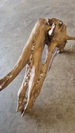 Aquarium hout, Dieren en Toebehoren, Vissen | Aquaria en Toebehoren, Ophalen of Verzenden, Gebruikt, Plant(en), Steen of Hout