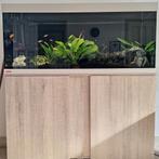Eheim aquarium 240 led, Dieren en Toebehoren, Ophalen, Gebruikt, Gevuld zoetwateraquarium