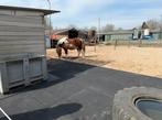 Rubber -Terras / stal / paddock tegels - matten, Toebehoren, 1 paard of pony